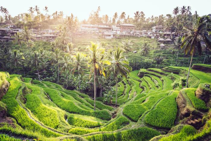 Bali time visit when